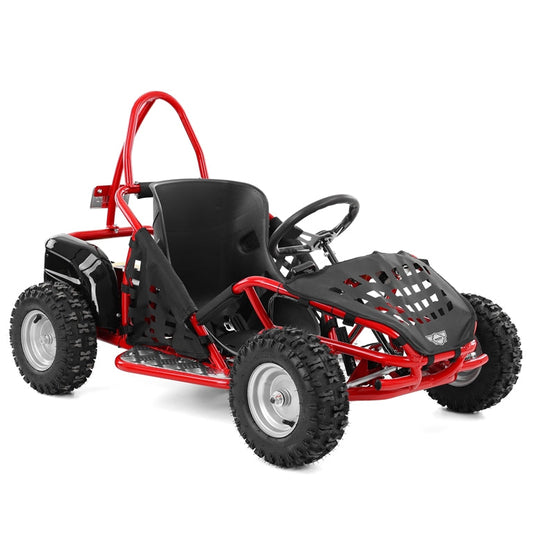 Kinder Buggy 1000 Watt mit DIFFERENTIAL + Brushless Motor HECHT