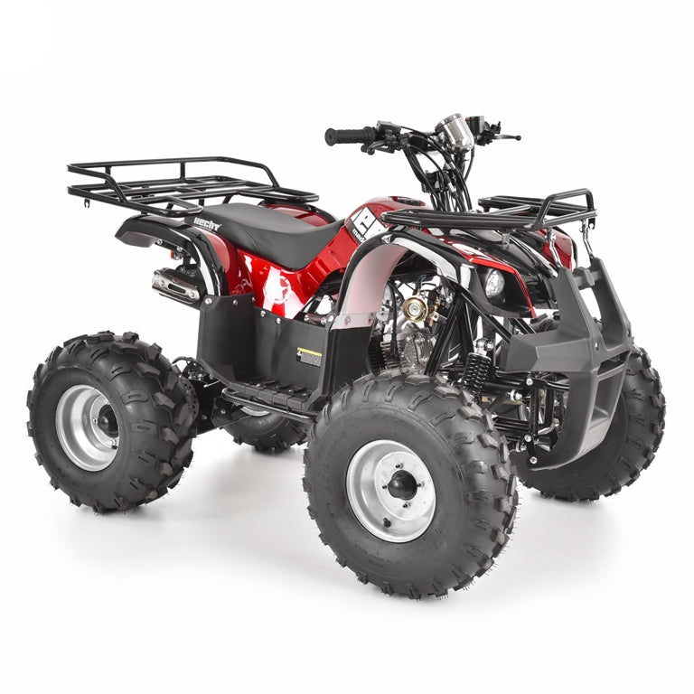Farmer XXL ATV 125cc, Automatik + RG 8 Zoll HECHT