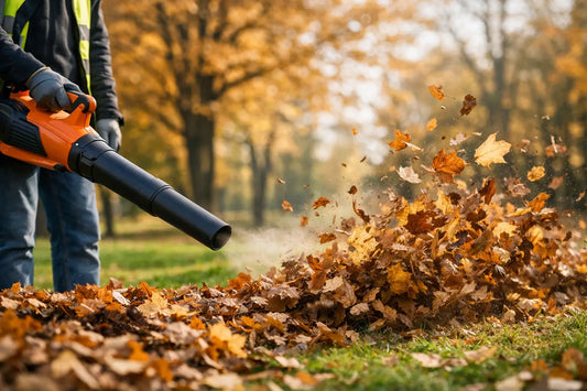 Laubbläser richtig im Herbst nutzen