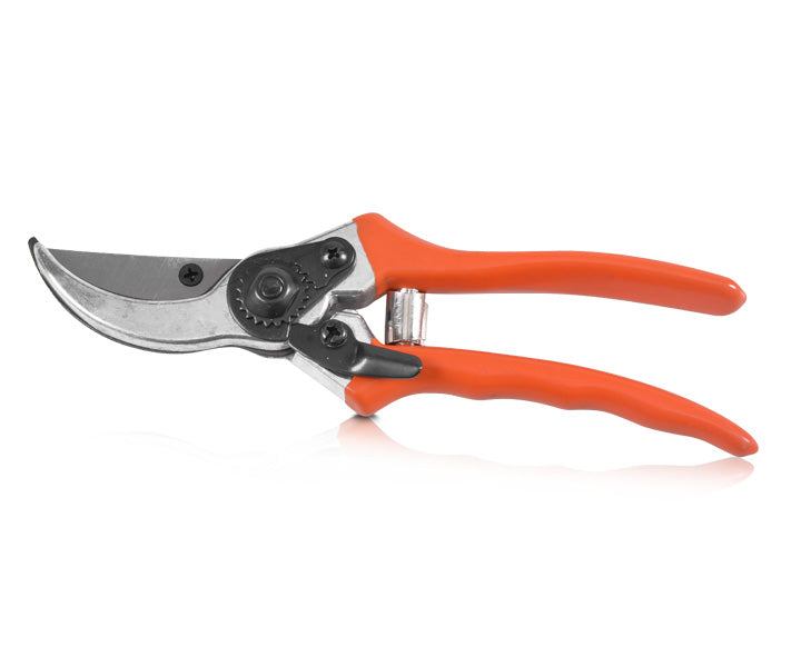 Bypass-Gartenschere Hecht 420 CC HECHT