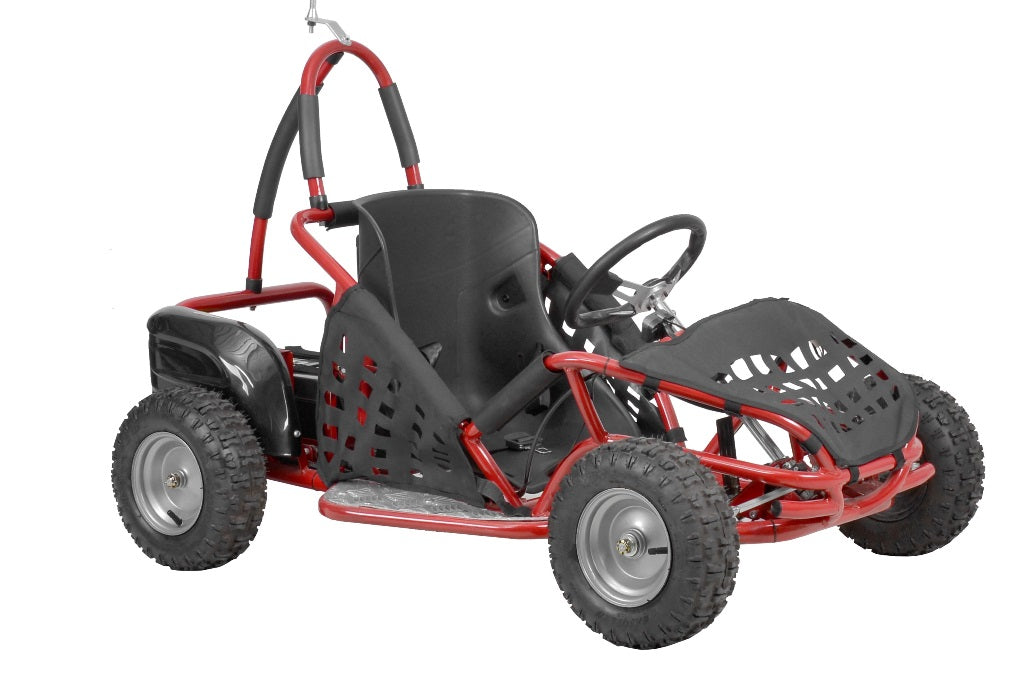 Kinder Buggy 1000 Watt mit DIFFERENTIAL + Brushless Motor HECHT
