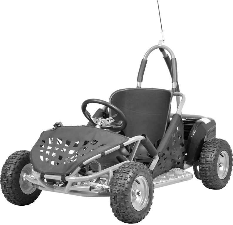 Kinder Buggy 1000 Watt mit DIFFERENTIAL + Brushless Motor HECHT